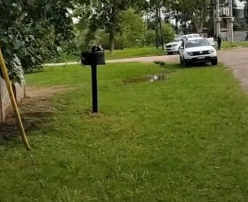 7a8570c6-1c3a-461d-a7c7-ab86de4dae7d