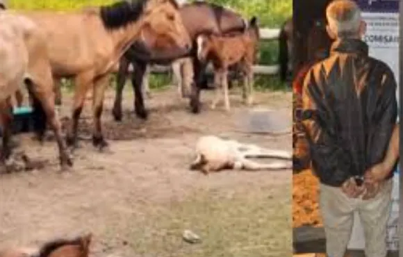 capture_260119_203655