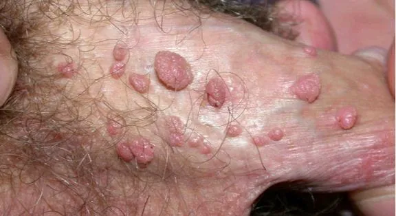 eec91f69-2538-41e3-bb00-ccd6586d039b