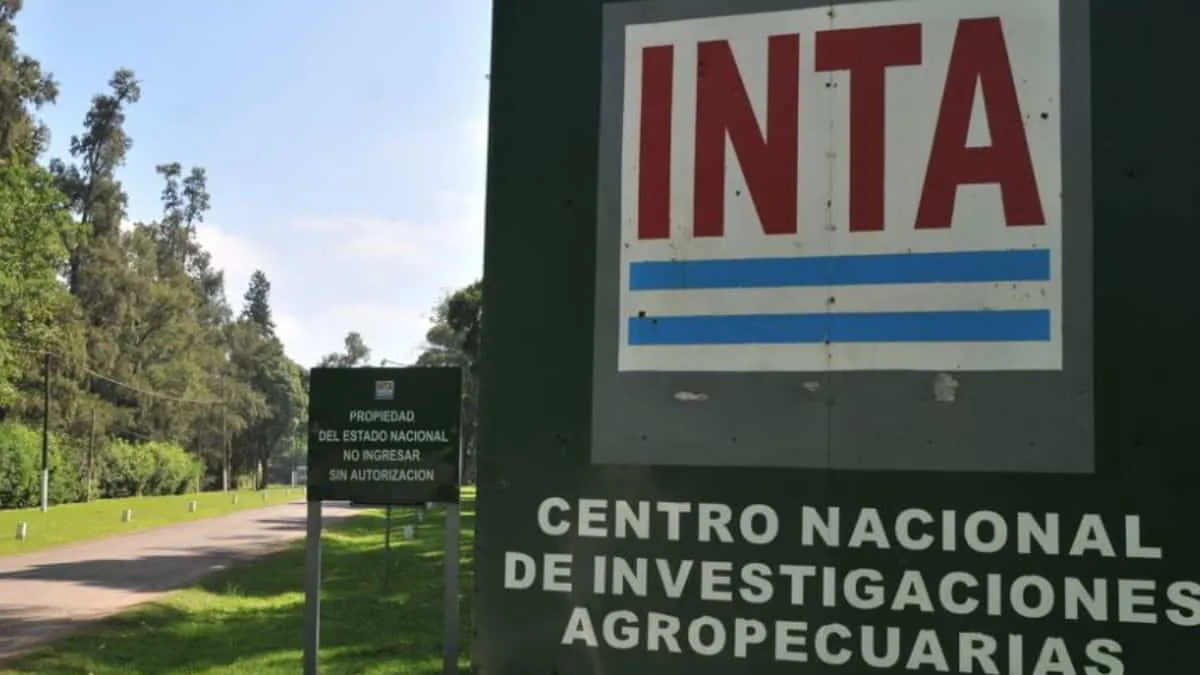 NOTA 1 ITUZAINGÓ