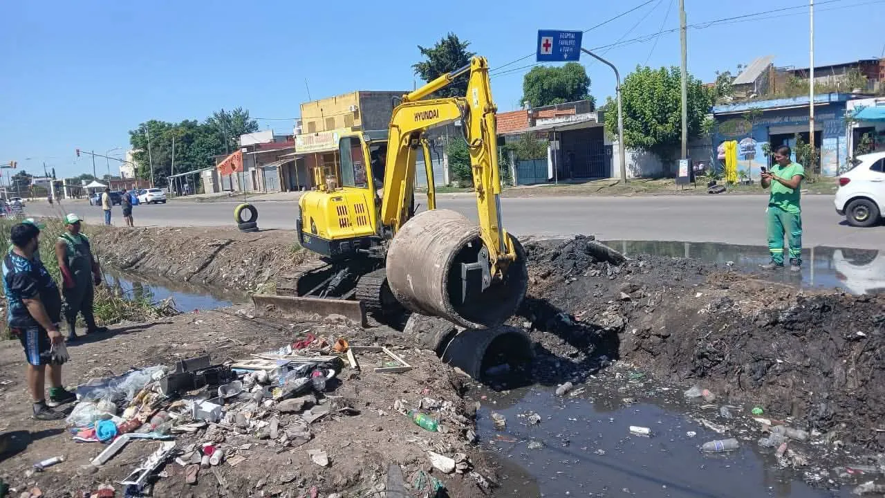 WhatsApp Image 2026-01-25 at 11.47.57