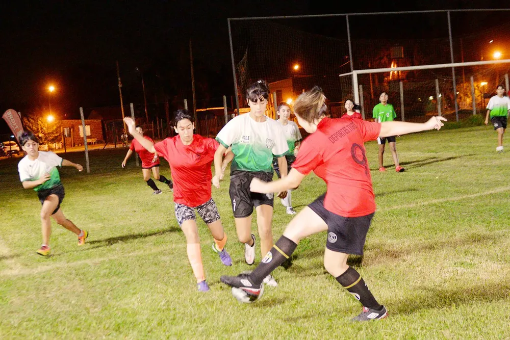 NOTA 2 TIGRE
