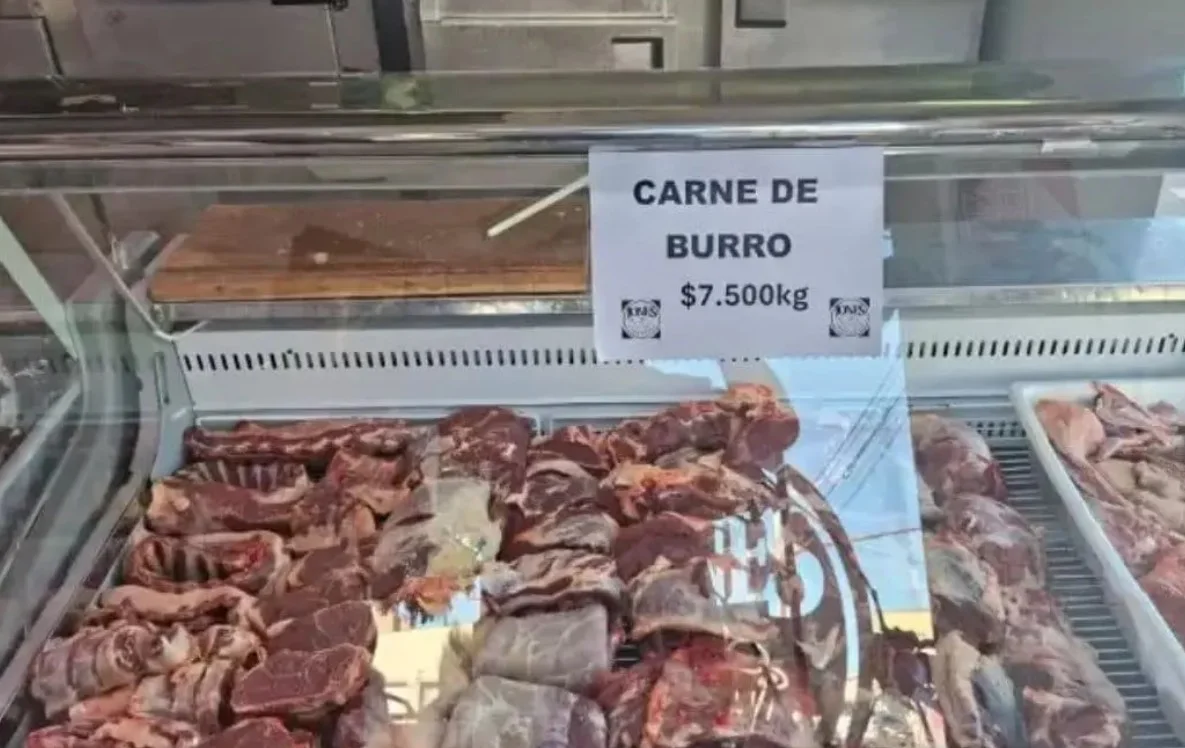 NOTA CARNE DE BURRO