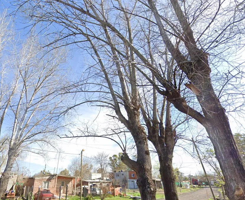 NOTA 2 JOVEN ASESINADO