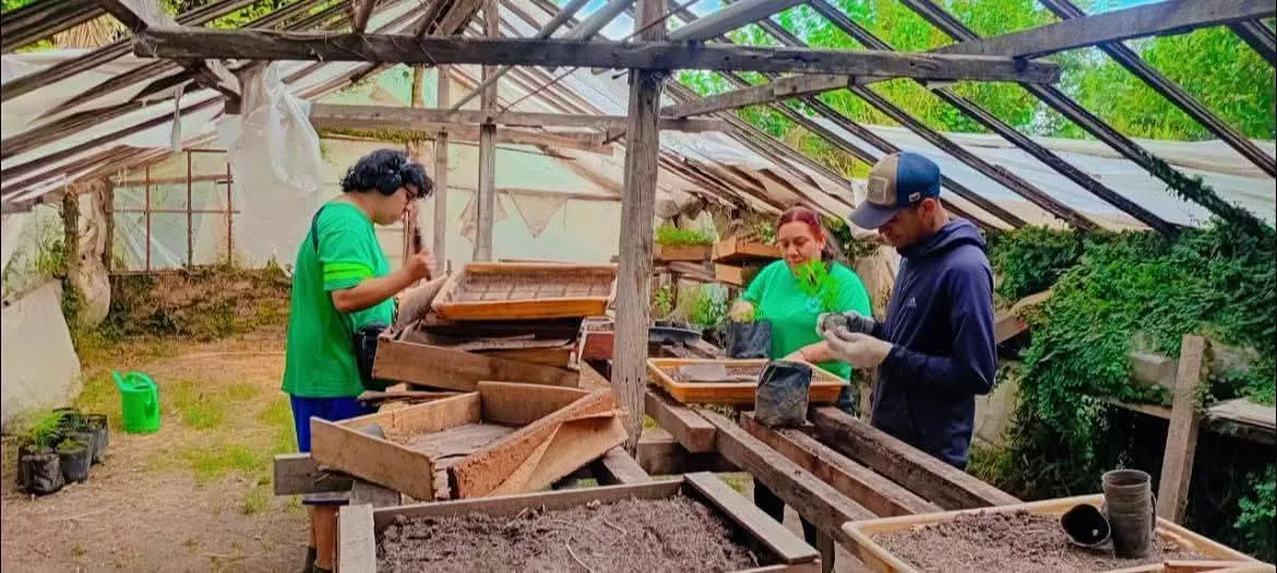 WhatsApp Image 2026-01-12 at 19.48.19