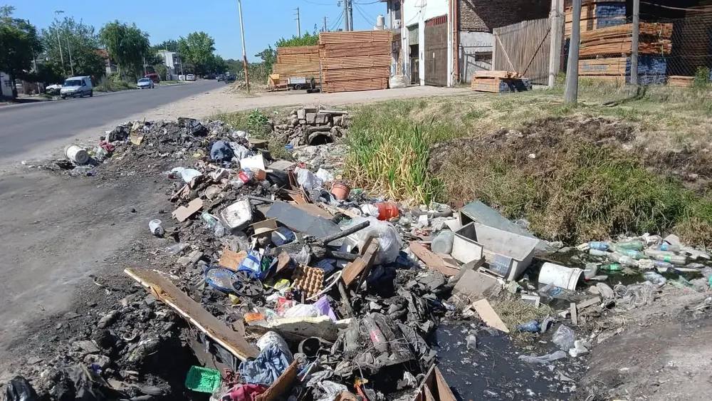 WhatsApp Image 2026-01-25 at 11.48.09