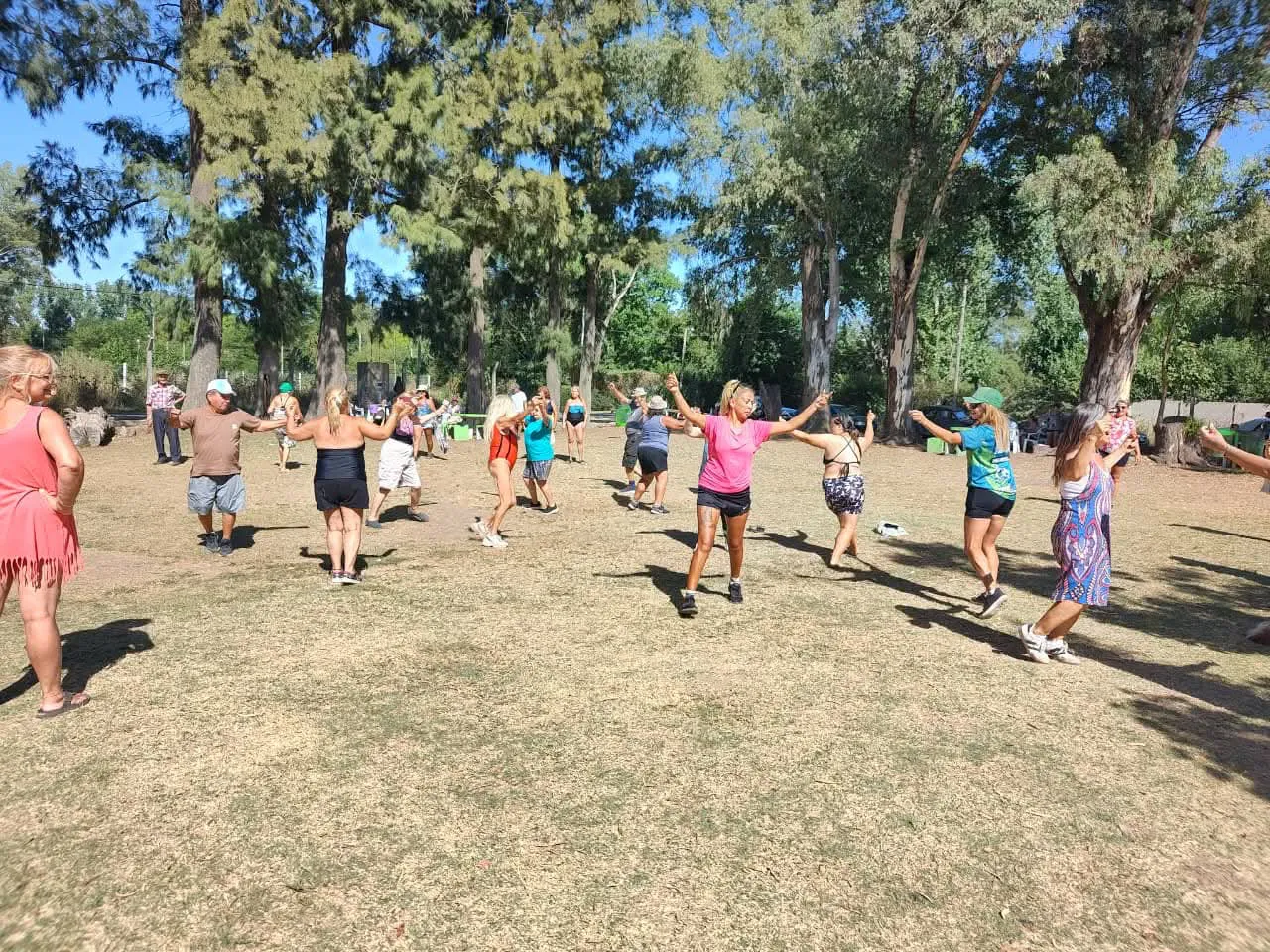 WhatsApp Image 2026-02-11 at 14.21.43