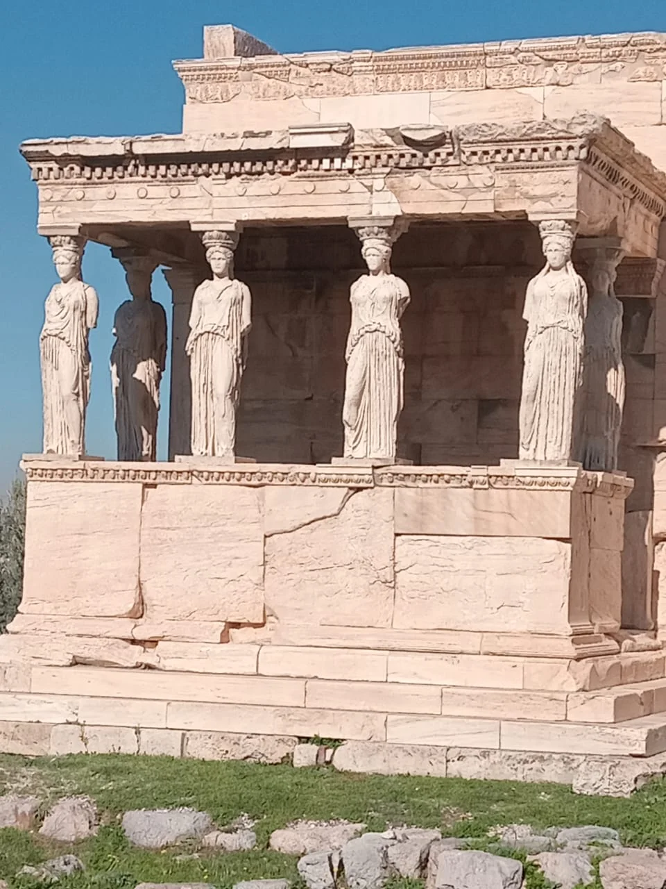 WhatsApp Image 2026-03-15 at 15.45.57