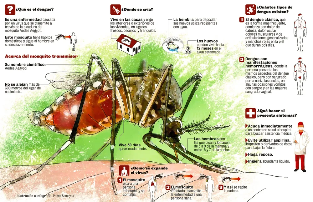 NOTA 1 DENGUE EPIDEMIA