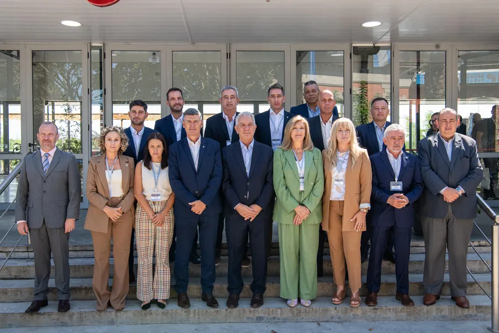 WhatsApp Image 2026-03-31 at 19.15.18