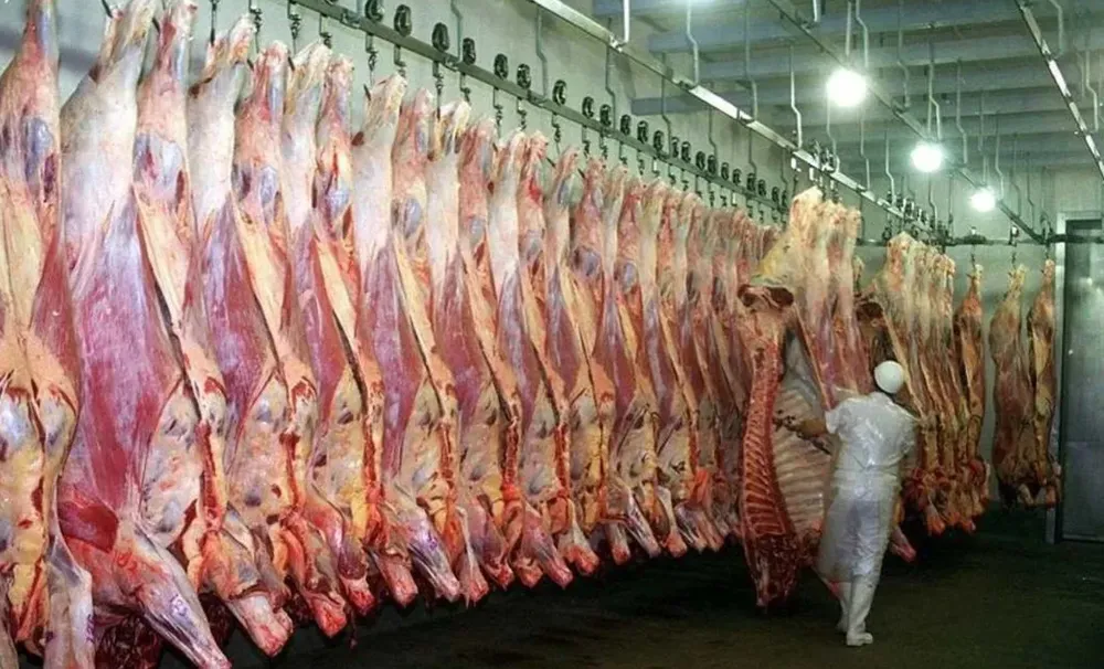 NOTA CARNE 