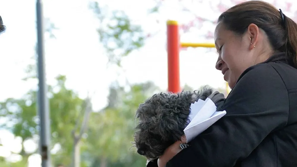 67912664f3de7_800_450_2x!