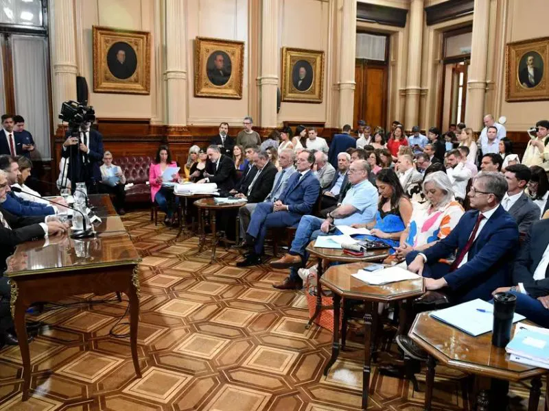 la ley bases en el senado