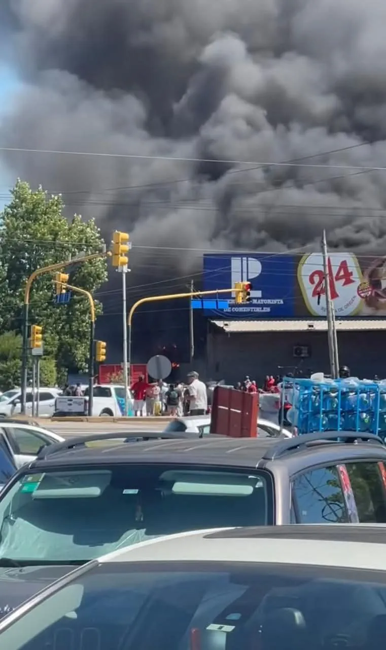 WhatsApp Image 2026-02-06 at 17.34.15