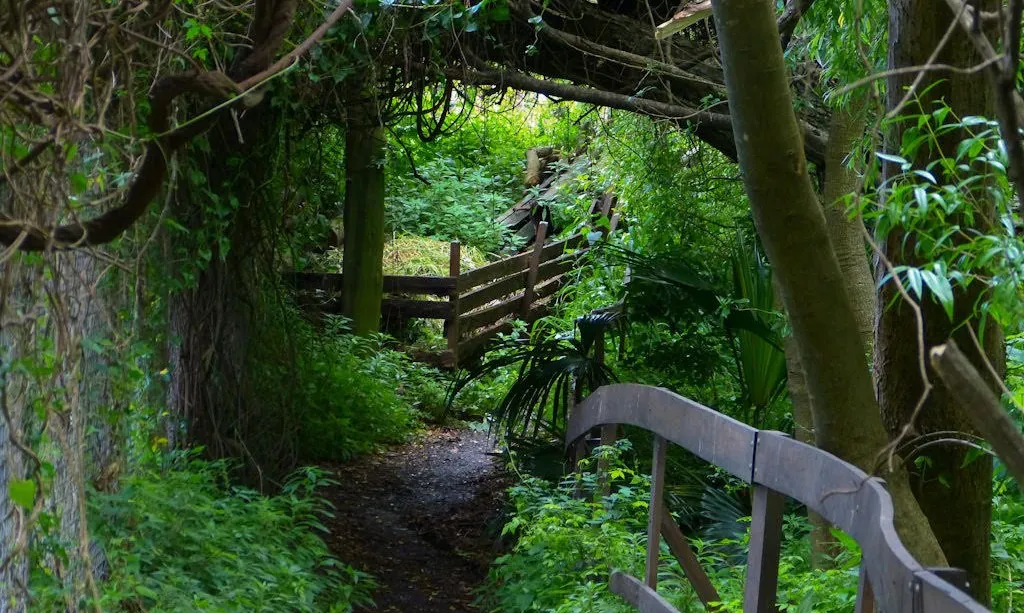 Reserva Ecológica VL (1)