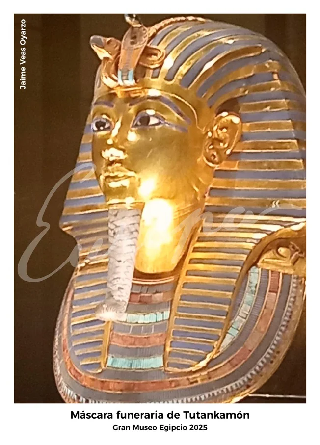 WhatsApp Image 2026-03-22 at 17.28.14