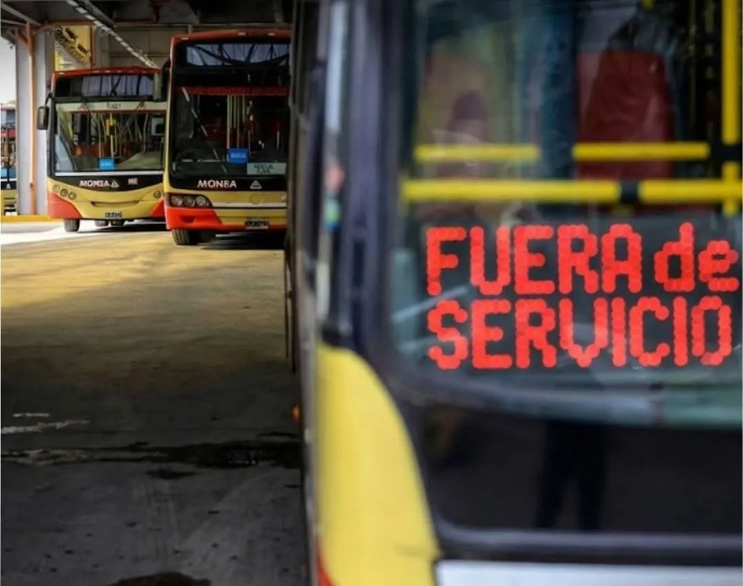 WhatsApp Image 2026-01-21 at 15.44.49