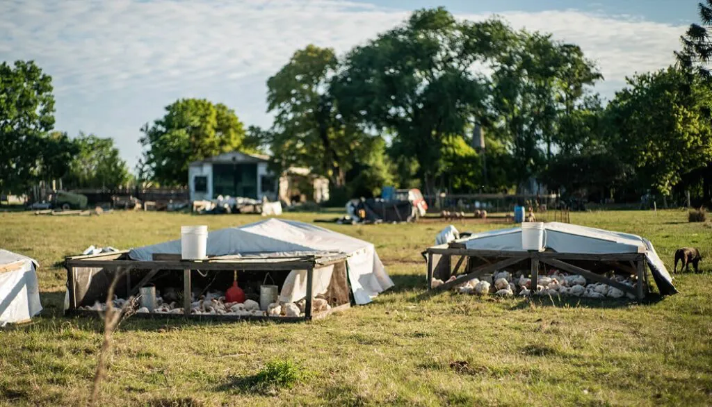 NOTA CONFLICTOS SOCIO AMBIENTALES